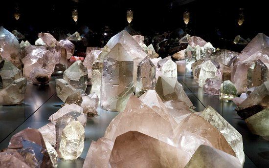 Natuurhistorisch museum van Bern